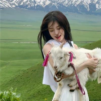无声的月光奏鸣曲