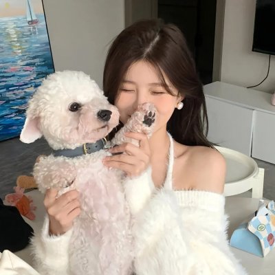 纸牌屋第四季